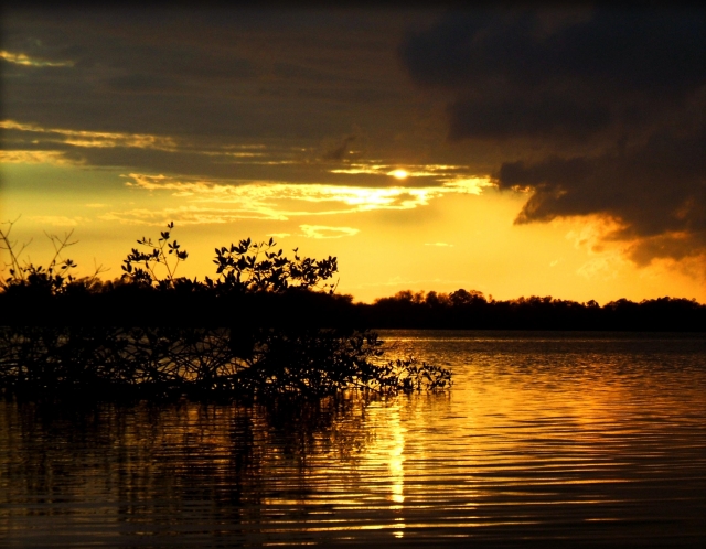 Laguna de Manialtepec