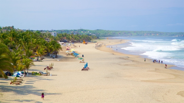  playa zicatela