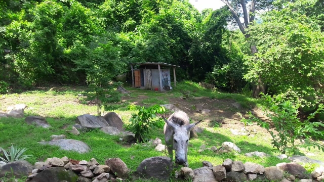  Reiten 