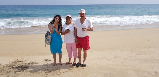  Tranquility on the sand of Zipolite 