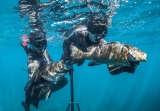 Speerfischen für Anfänger Punta Mita 3 Std