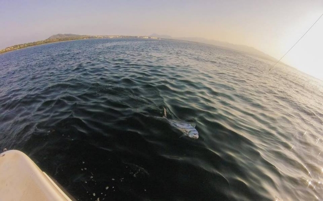  Fishing in Punta Mita 