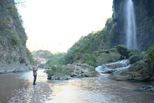  Live nature 