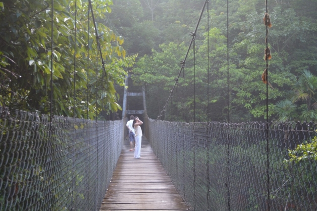  Crossing the bridge 