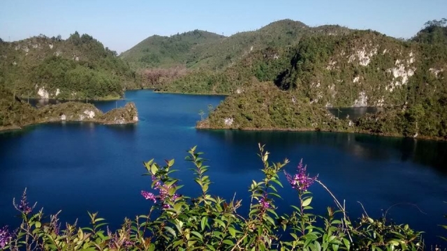 naturaleza