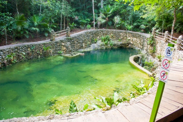  Schwimmen in der Cenote 
