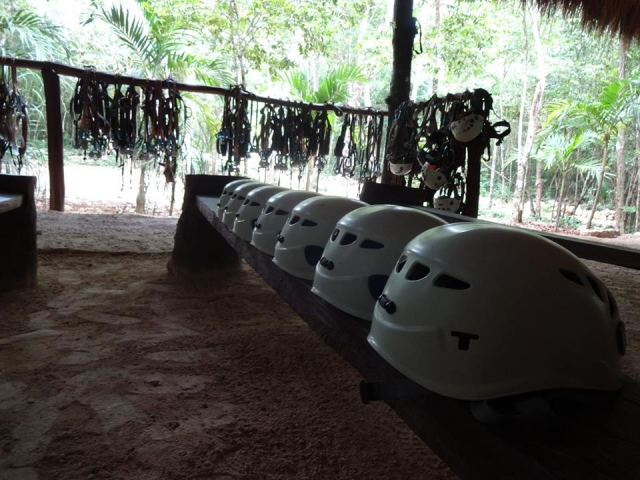 Primeiro 