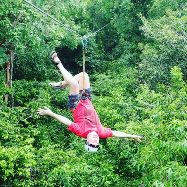  Mayan selva