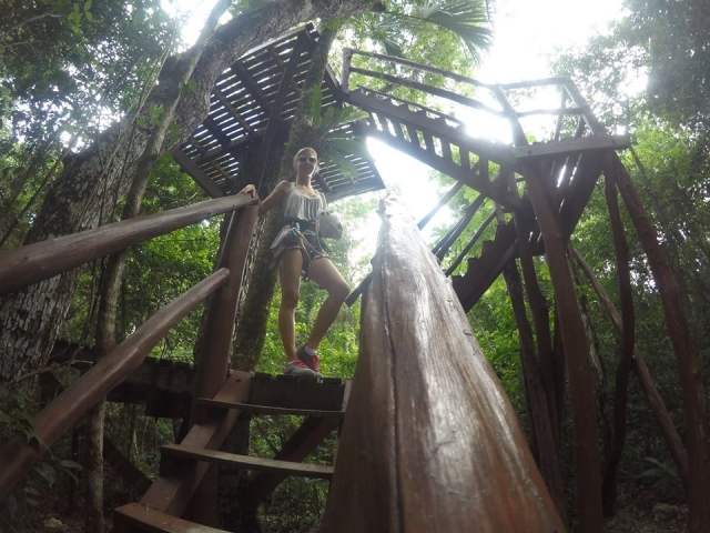 Árvores de escalada 
