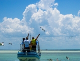 Tour a Isla Holbox con transporte y comida