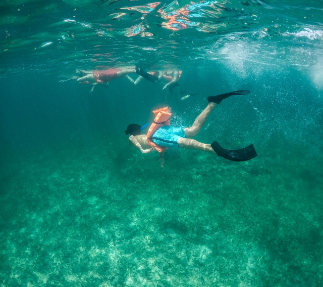 Snorkel en Isla mujeres