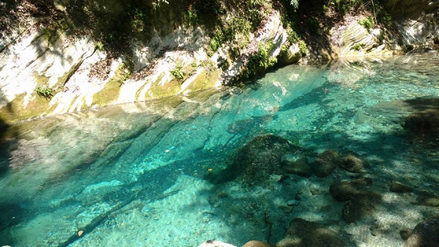  生态旅游 