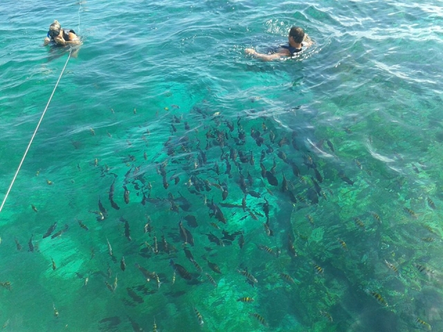 Faire du snorkeling 