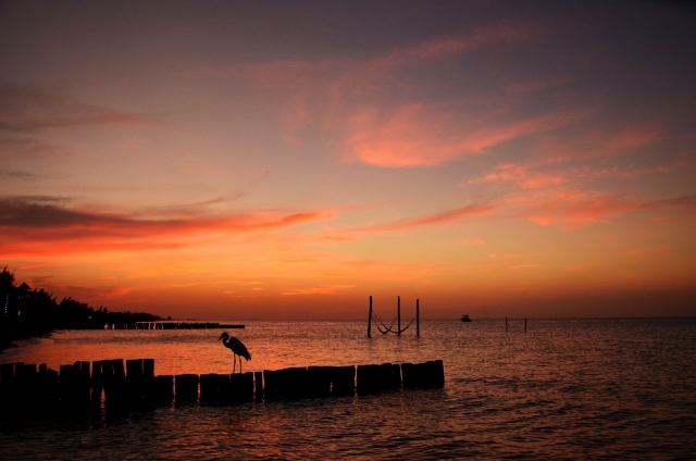 Coucher de soleil à Holbox 