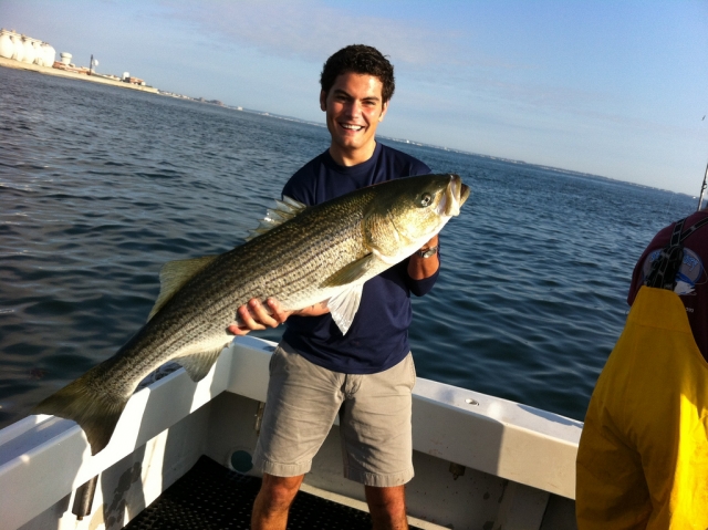 Variedade de peixes 