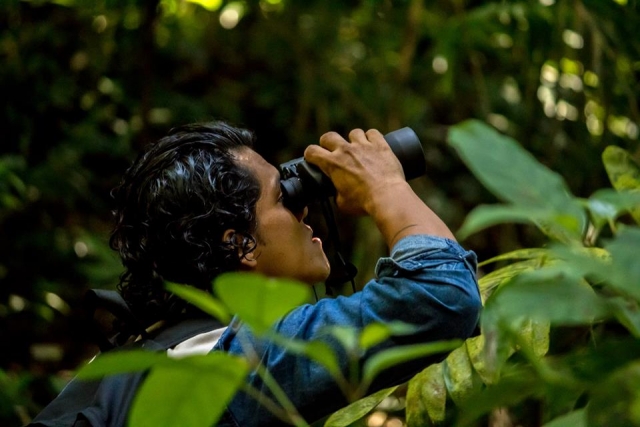  Aproveite a selva 