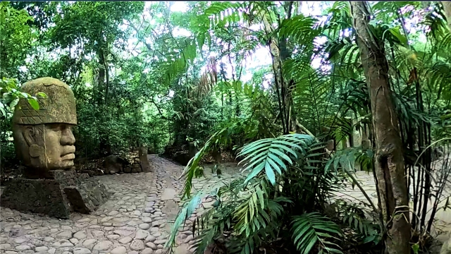  Olmeca Culture entre a selva 