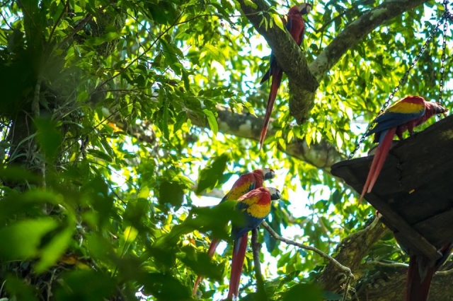  Contatto con la natura 