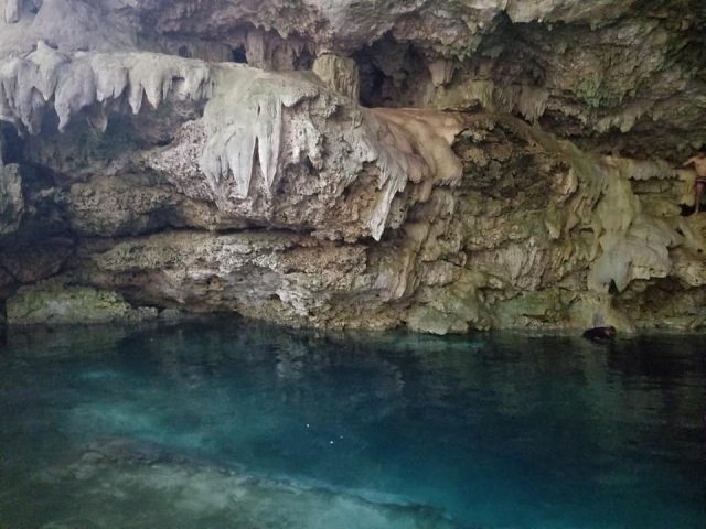Views of the cenotes 