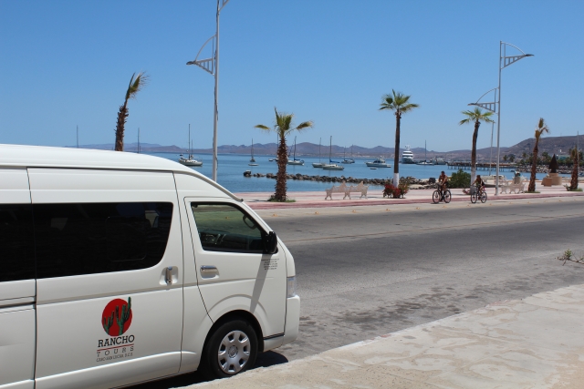  transporte em vans 