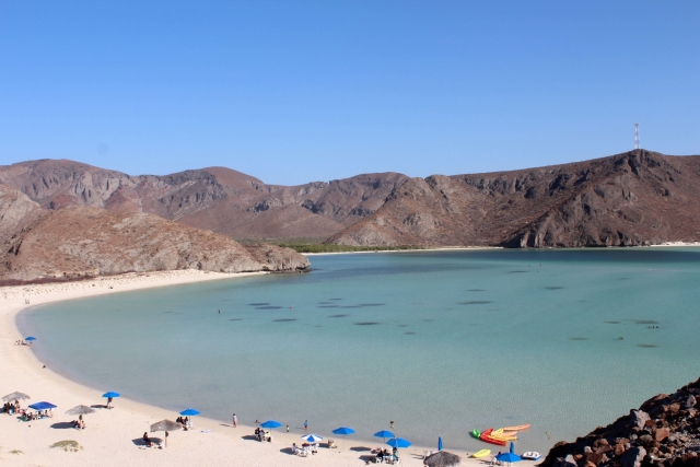 Disfruta de la playa