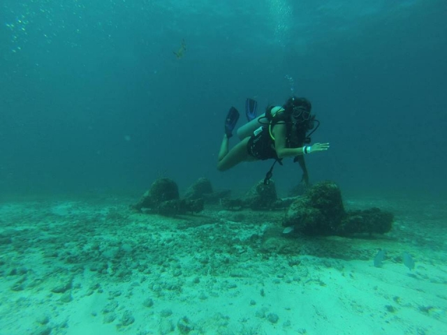  Explorez les profondeurs de l'océan 