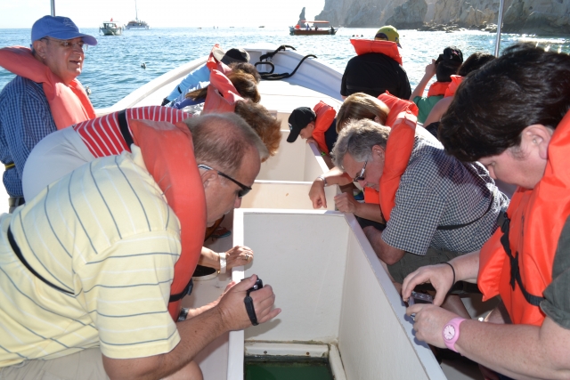  Glass bottom boat ride 