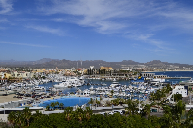  Veduta del porto di Cabo San Lucas 