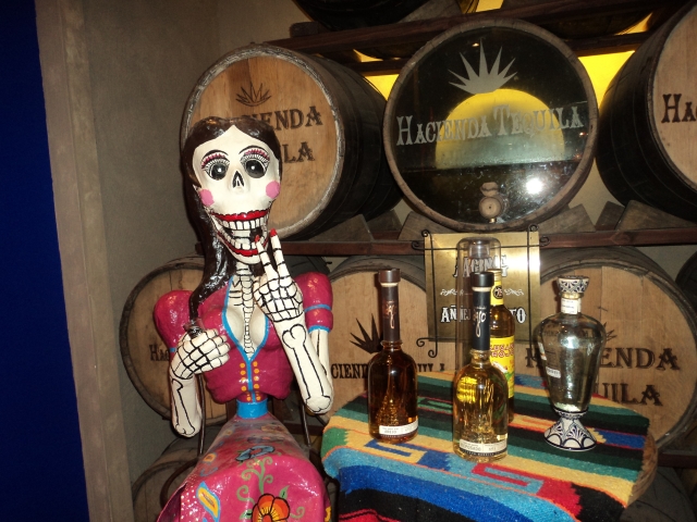  They will learn about the tequila making process 