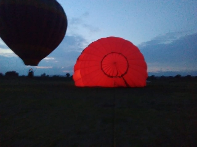 Podras ver la preparacion de tu globo