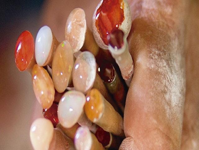 L'opale tra le mani 