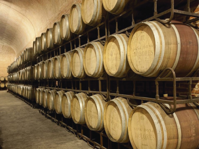  Botti Freixenet 