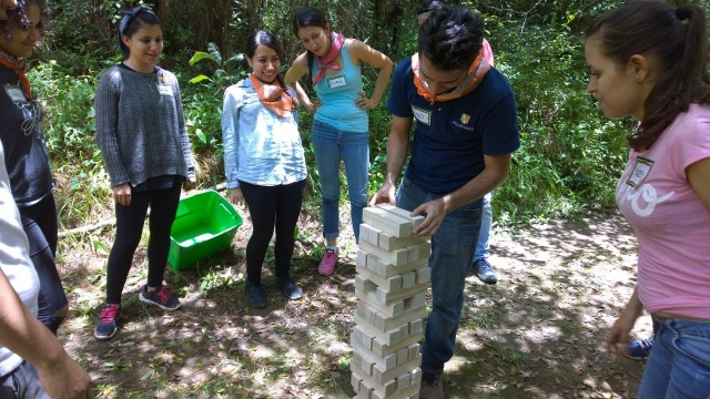 同事之间的 Jenga 挑战 