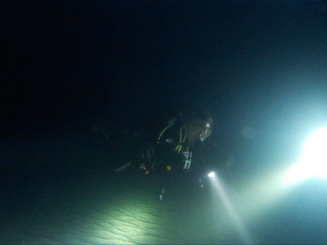  Immersioni con torce e muta 