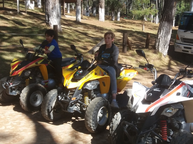 Walk through the forest on an ATV 