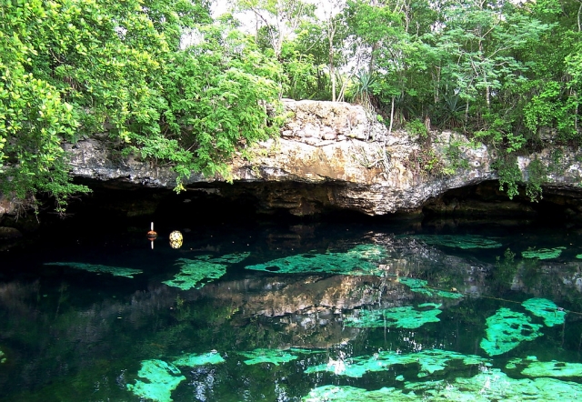  Águas doces do Yalahau -999 Cenote 