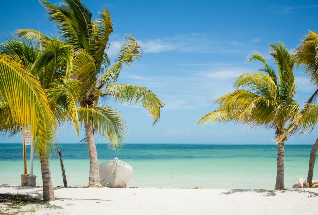 Aproveite a praia 
