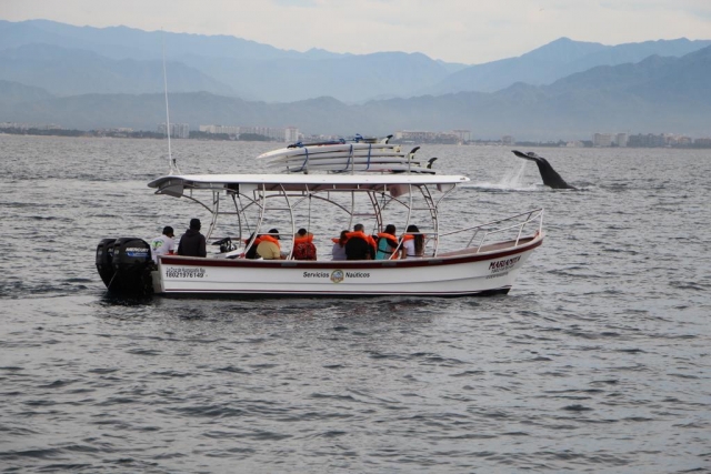  Boat Trip through Riviera Nayarit 