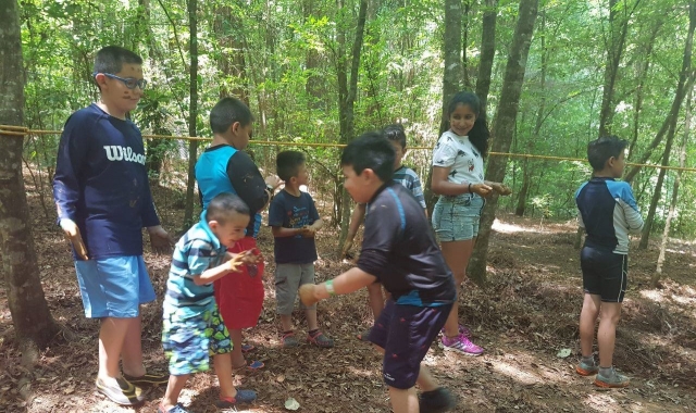  Giochi nella foresta 