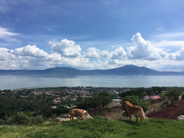  Chapala vista dalla montagna 