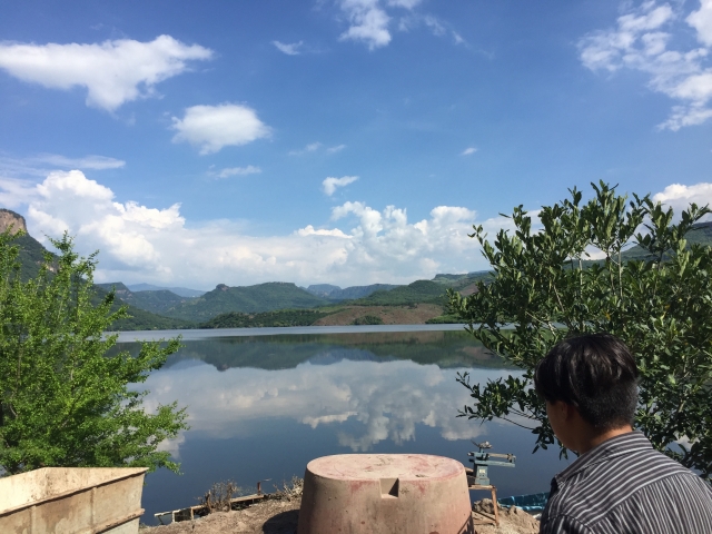  了解龙舌兰作物龙舌兰湖 