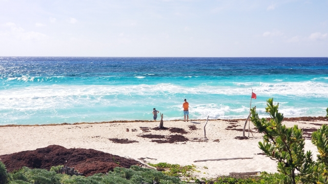  San Martin Beach