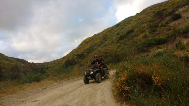  Beschleunigen Sie mit dem ATV entlang der Straßen von Rosarito 