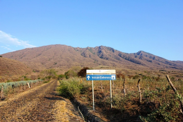 Camino al volcán Ceboruco