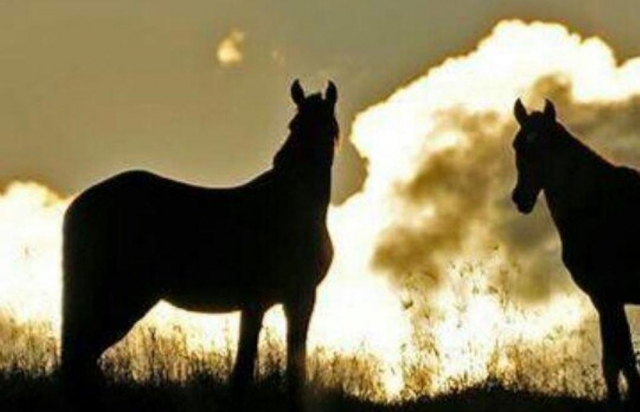  Cabalgata por Mixtlán