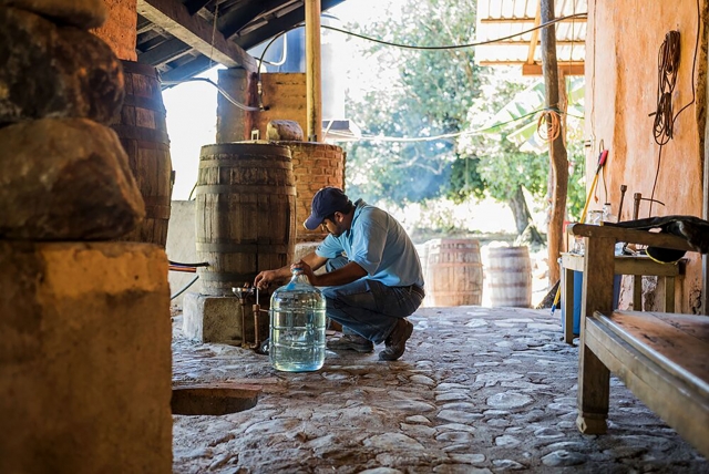 Descubre la elaboración de mezcal