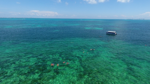 Navega en nuestro catamarán