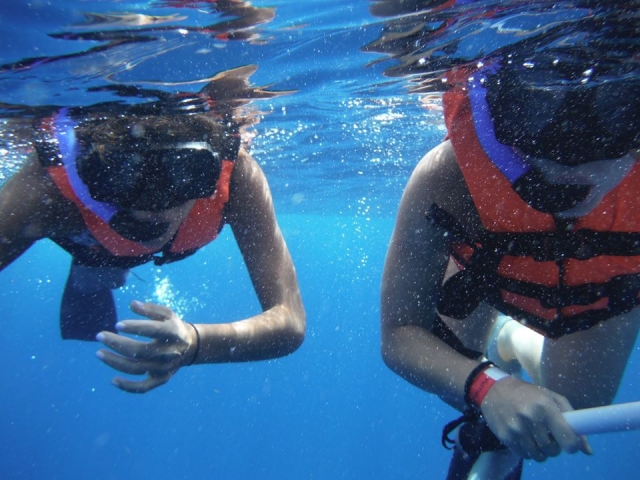  Snorkeler à Cancun