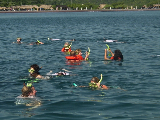 Snorkeling nella spiaggia di Los Carrizales 