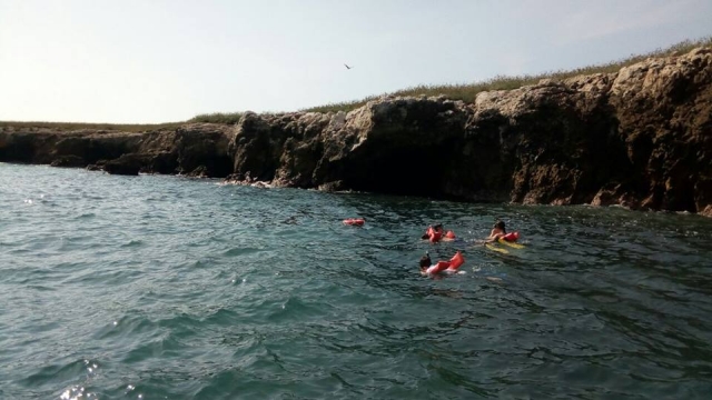  在 Nayarit 浮潜 